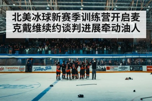 ice hockey arena crowd